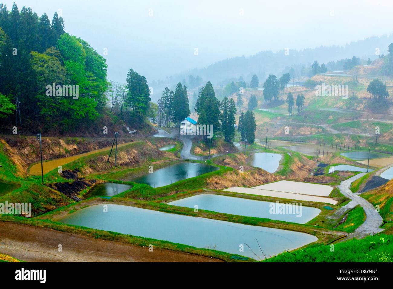 Pond in Japan stock photo. Image of deep, nature, japan - 182546932