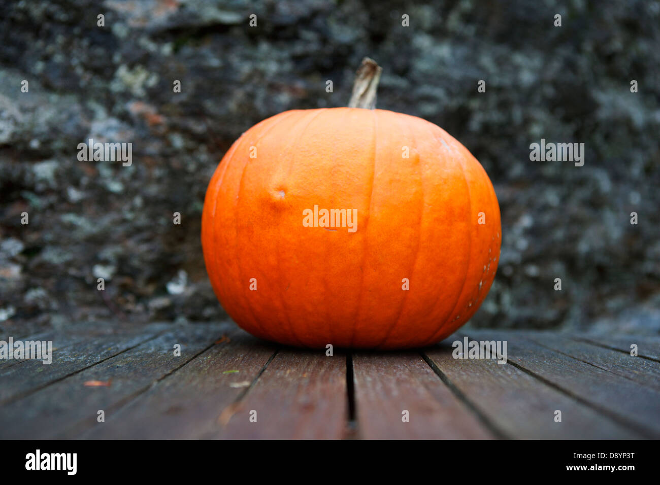 Close up halloween hi-res stock photography and images - Alamy