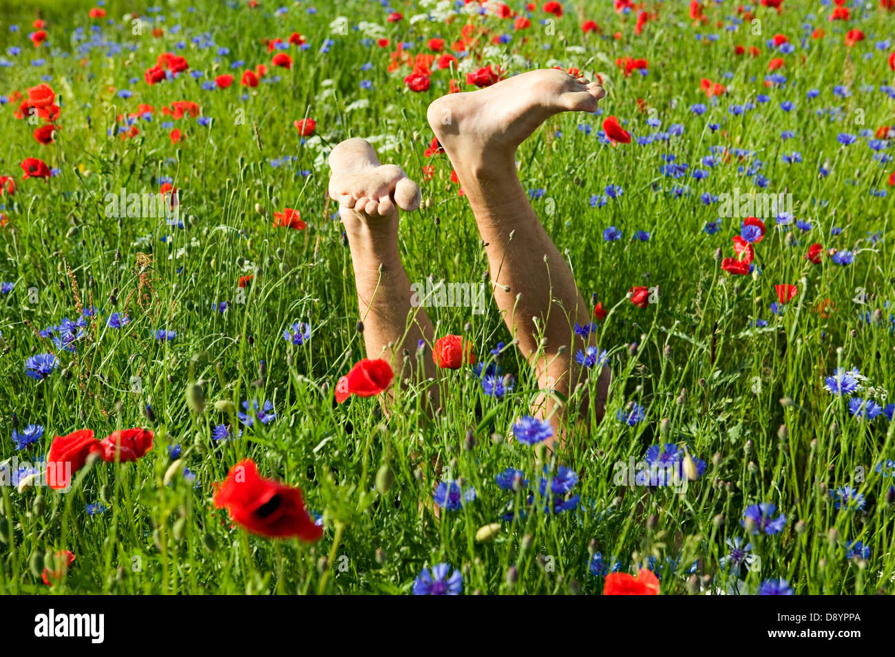 Barefoot feet in a meadow. Stock Photo