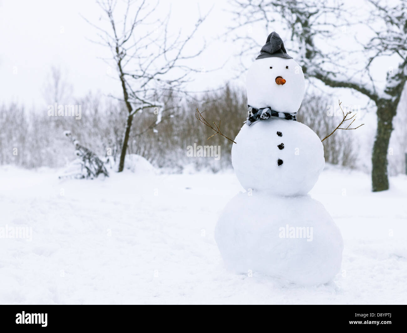 Снежная баба. Снеговик и Снежная баба. Морковка для снеговика. Человек Снеговик. Снеговик фото.