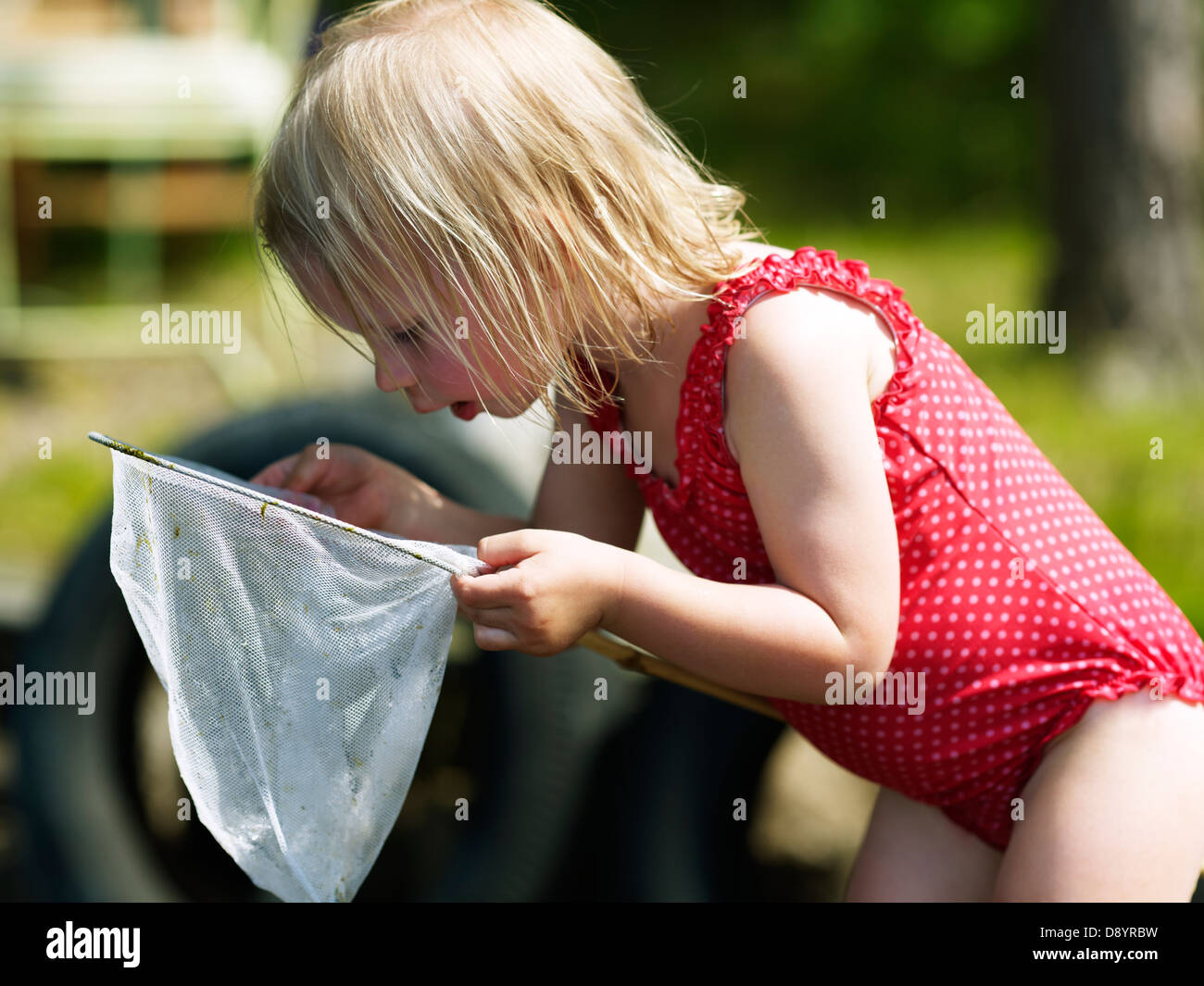 Girl looking into butterfly net Stock Photo