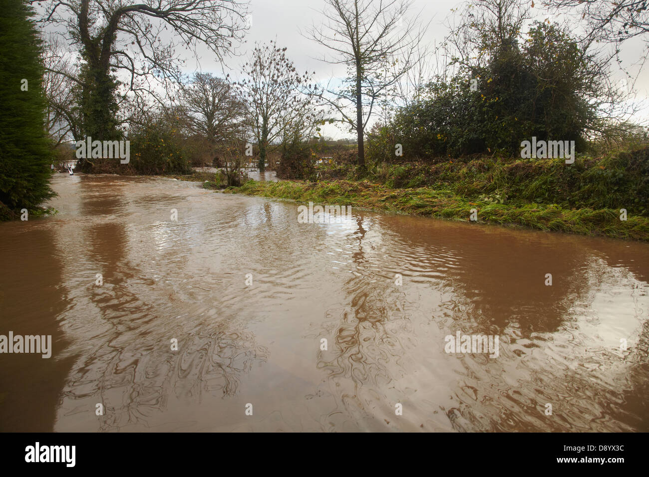 A flood in the valley of the River Culm after heavy winter rain, at Rewe, near Exeter, Devon, Great Britain. Stock Photo