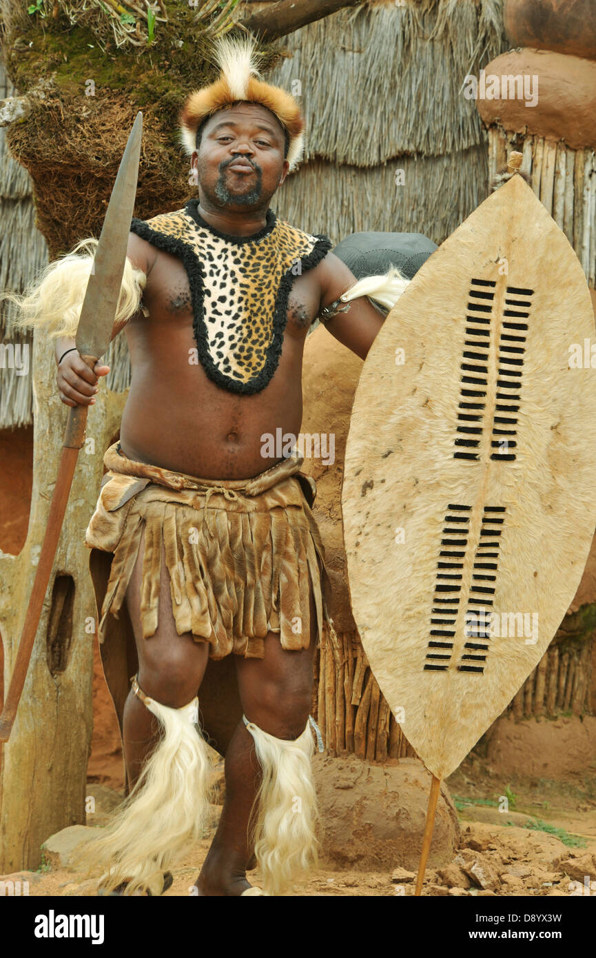 People, adult man, ethnic, Zulu warrior,  traditional ceremonial dress, shield and spear, war dance,  Shakaland theme village, South Africa, ethnicity Stock Photo