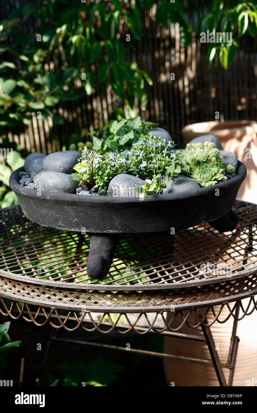 Green plants, Sweden. Stock Photo