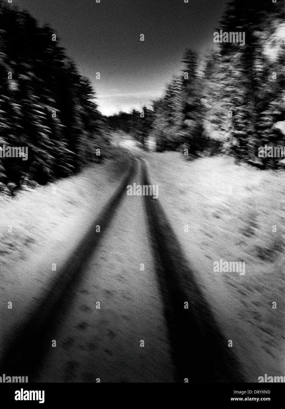 Sweden forest road Black and White Stock Photos & Images - Alamy