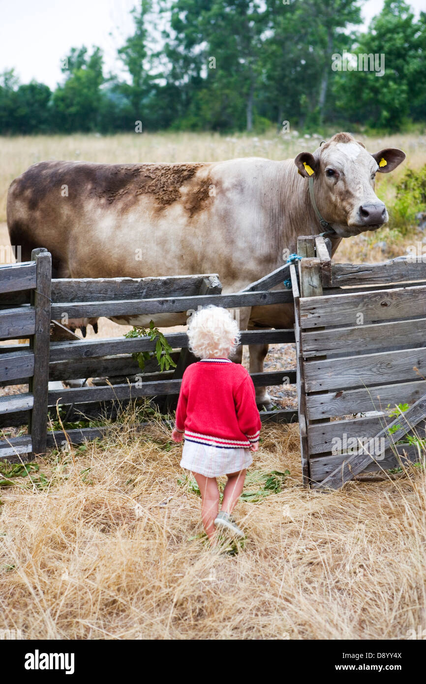 A girl in a pasture with a cow Stock Photo - Alamy