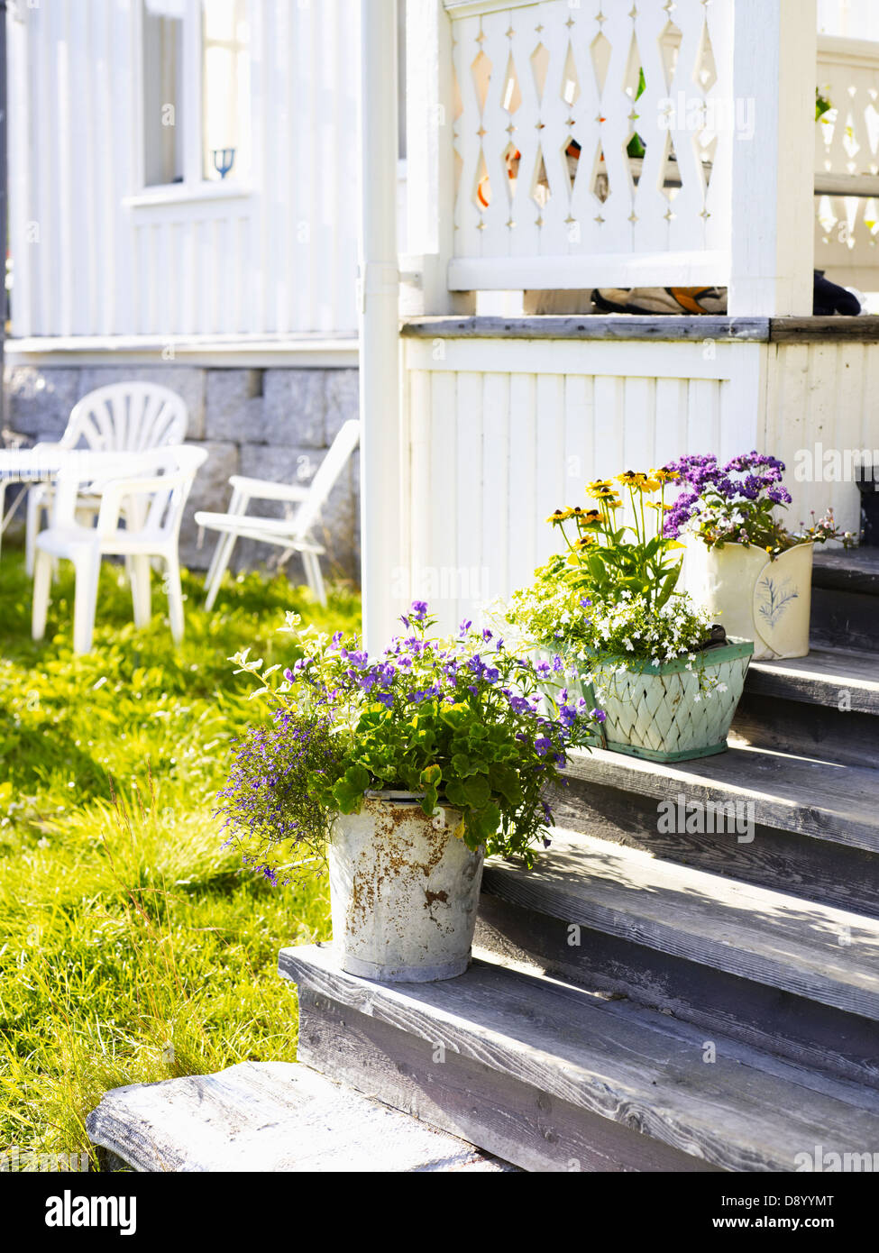 Flowerpots on steps, Angermanland, Sweden. Stock Photo