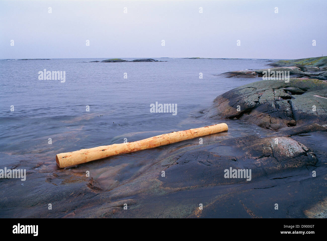 A log that has floated ashore. Stock Photo