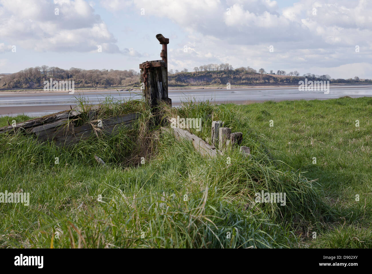 Overgrown wreck of an old boat at the ships graveyard Purton Gloiucestershire. Stock Photo