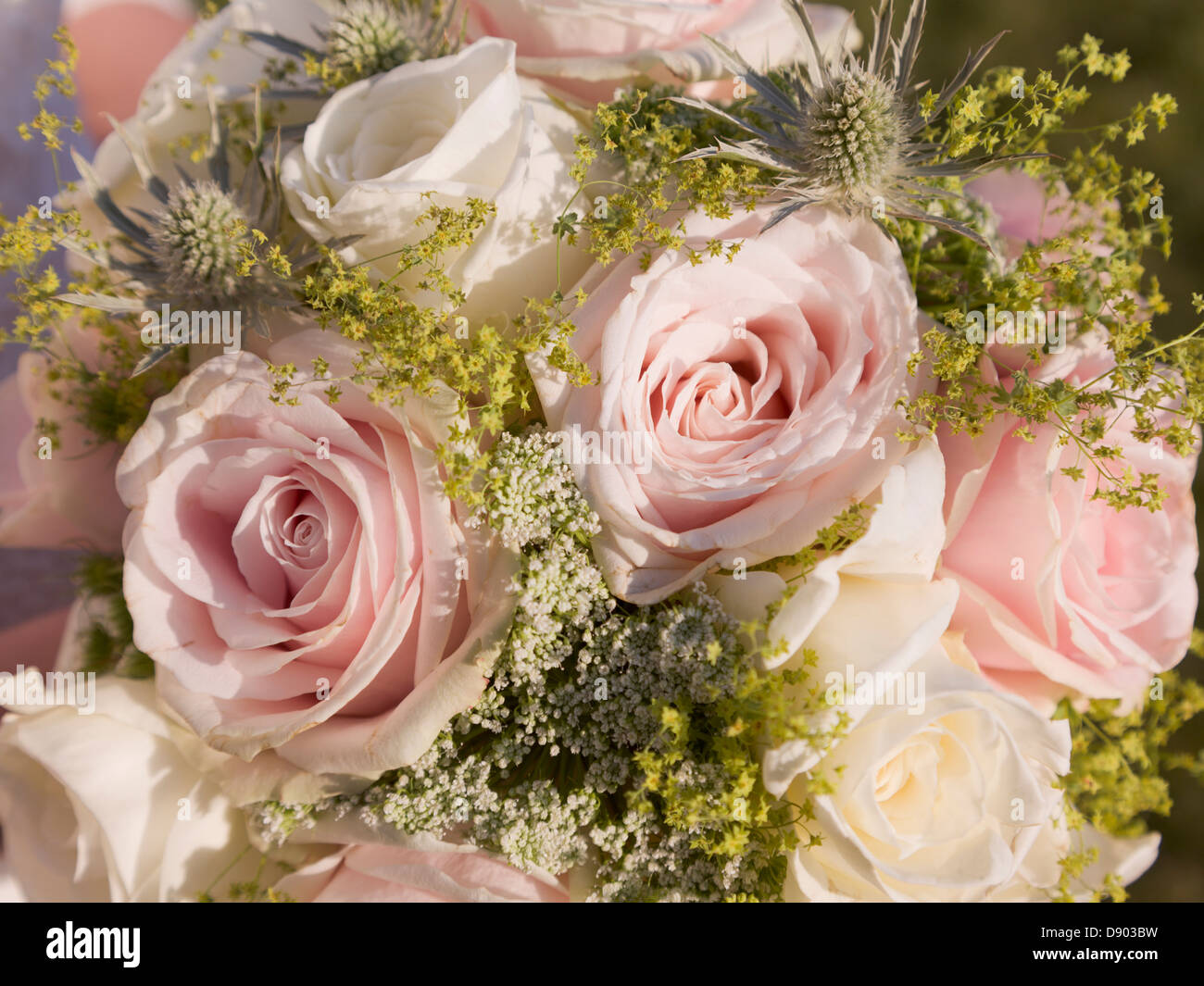 Bouquet of flowers Stock Photo