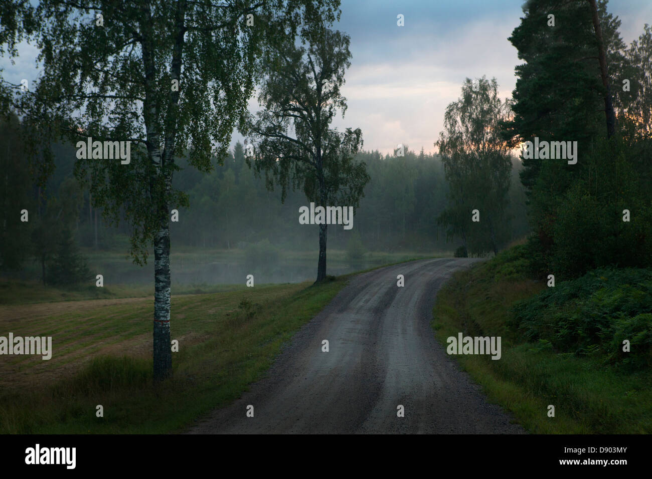 Foggy landscape with road Stock Photo - Alamy