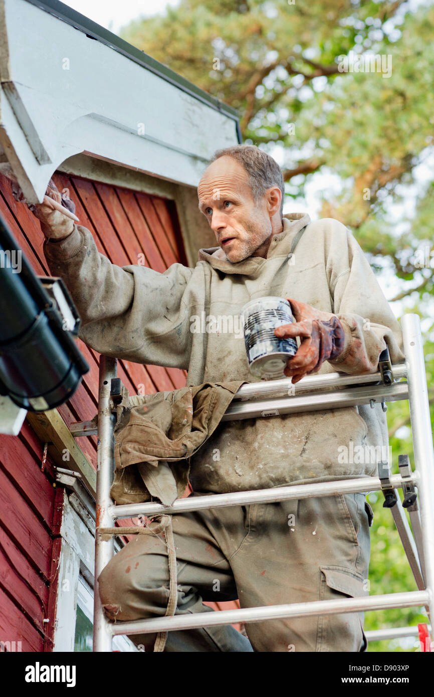Man on ladder painting house Stock Photo Alamy