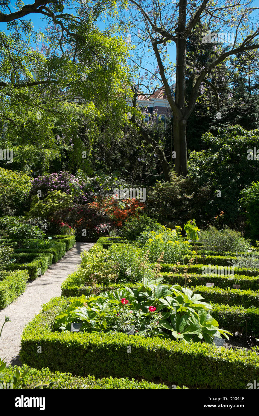 Netherlands, Amsterdam, Botanical Gardens Stock Photo - Alamy