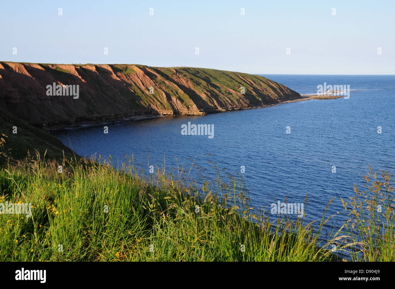 Filey Brigg from Filey County Park. Filey.  North Yorkshire coast.  UK Stock Photo