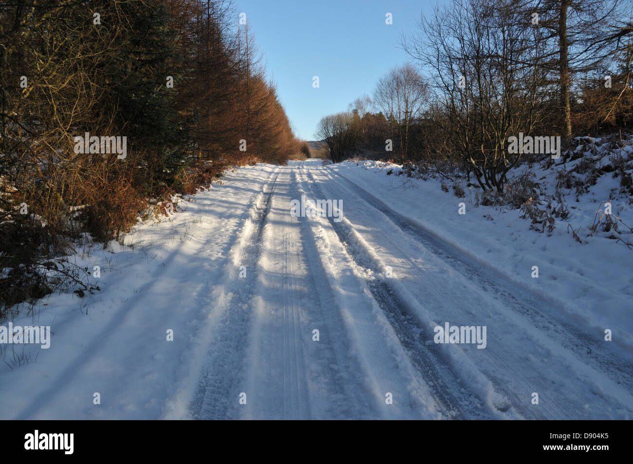 A snow covered track in Galloway Forest Park.  Scotland.  UK Stock Photo