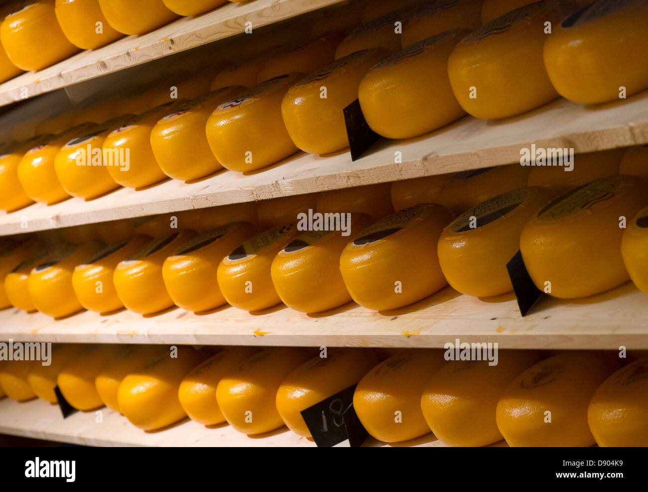 Netherlands, Volendam, Gouda Cheese maturing Stock Photo