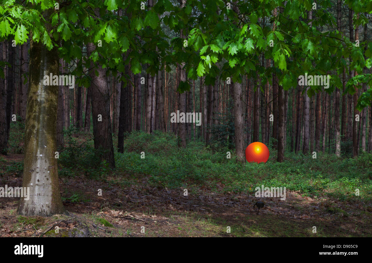 Glowing orange ball by trees in forest, a mystical abstract meaningful concept Stock Photo
