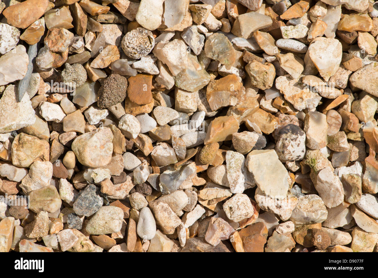 Gravel. Close up of flint Alderney Gravel. Stock Photo