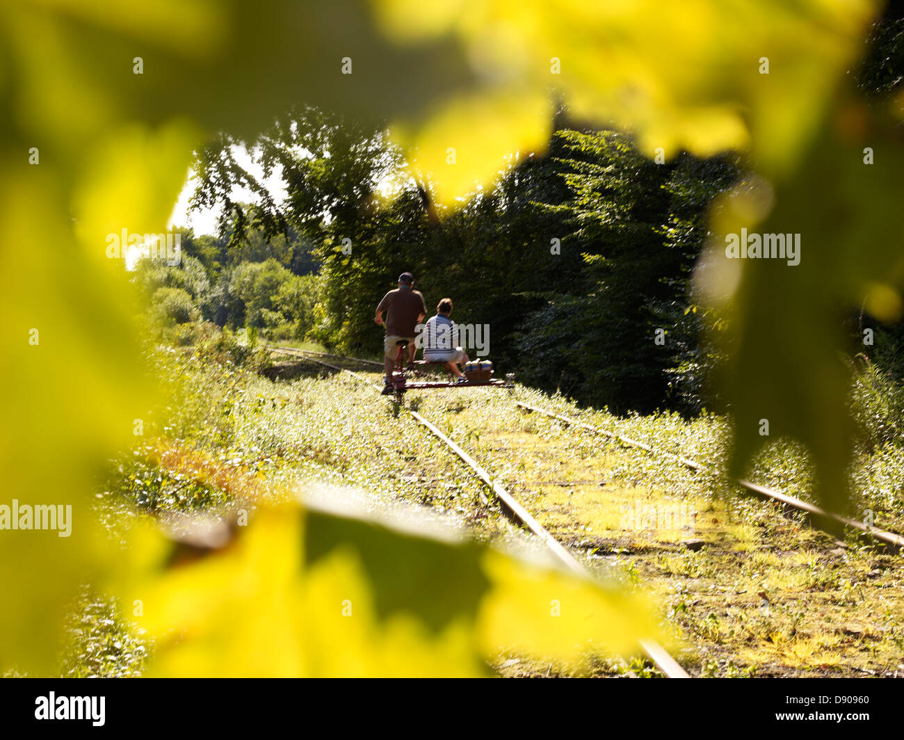 Rear view of man and woman near railroad track crossing landscape, leaves in foreground Stock Photo