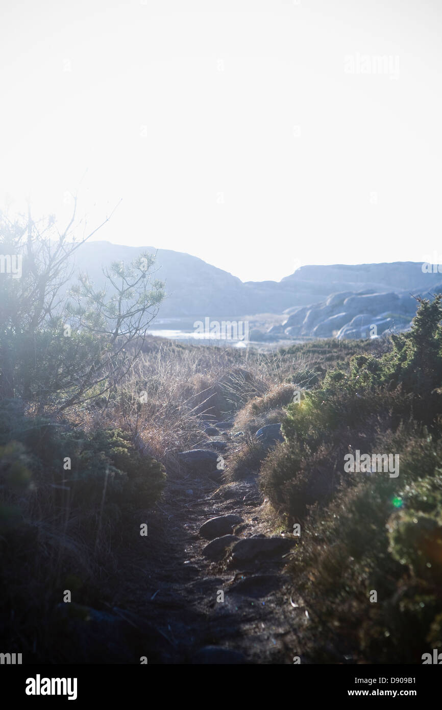 Light stone path hi-res stock photography and images - Alamy