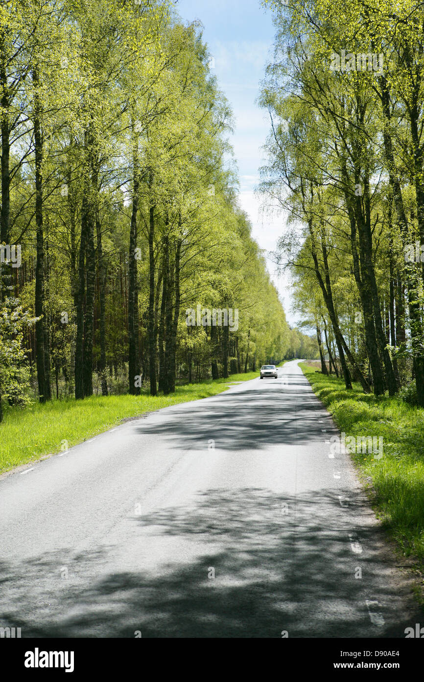 A country road through a forest in the south of Sweden. Stock Photo