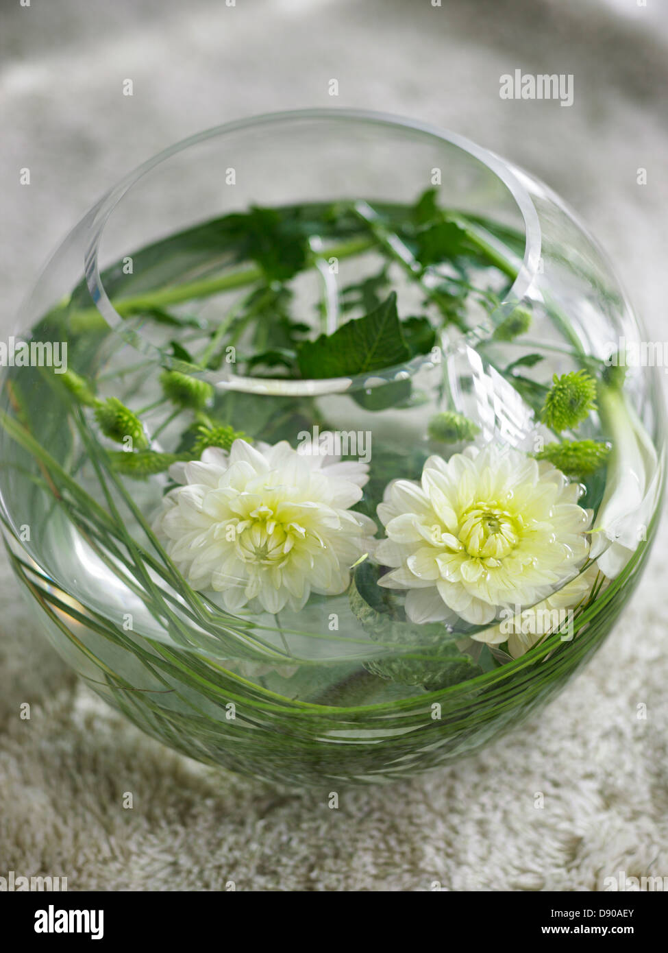A water bowl with white flowers Stock Photo Alamy
