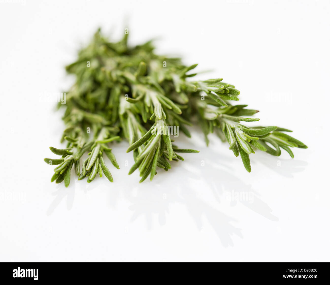 Rosemary environment Cut Out Stock Images & Pictures Alamy