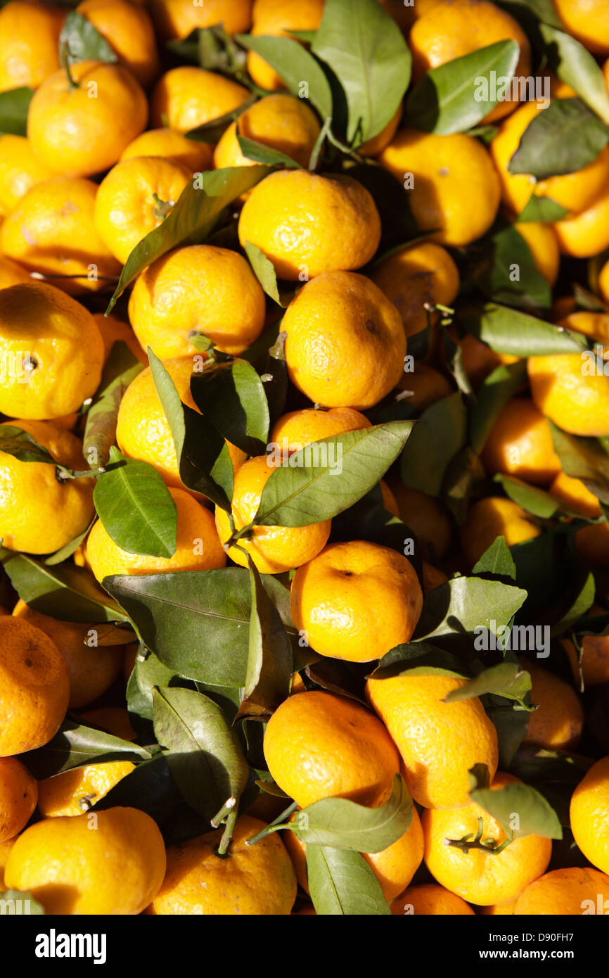Clementine fruit in market Stock Photo Alamy