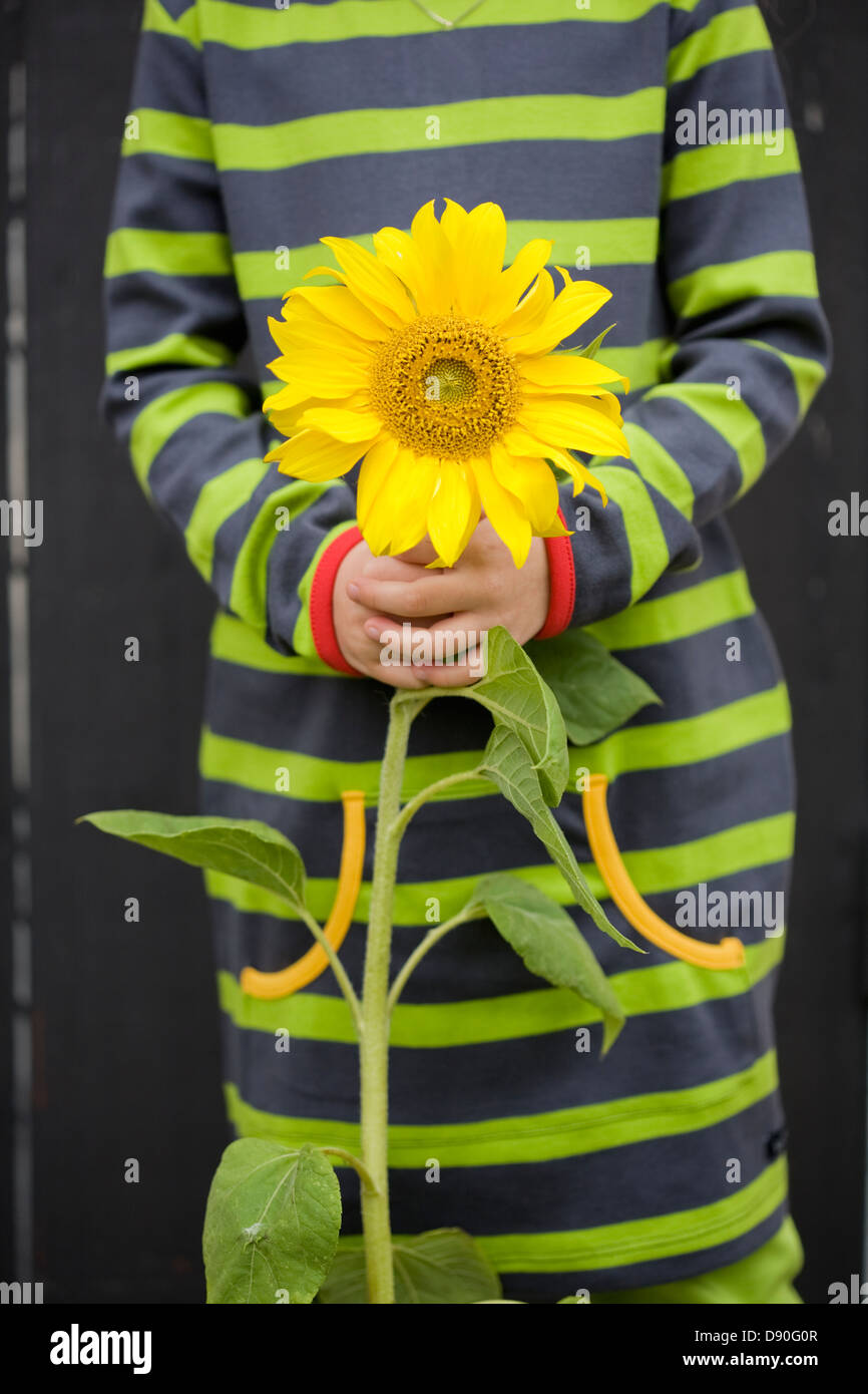 Girl holding sunflower Stock Photo - Alamy