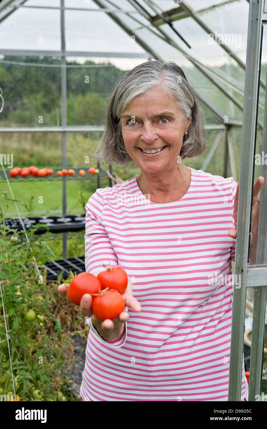 Senior woman picking tomatoes from greenhouse, smiling Stock Photo - Alamy