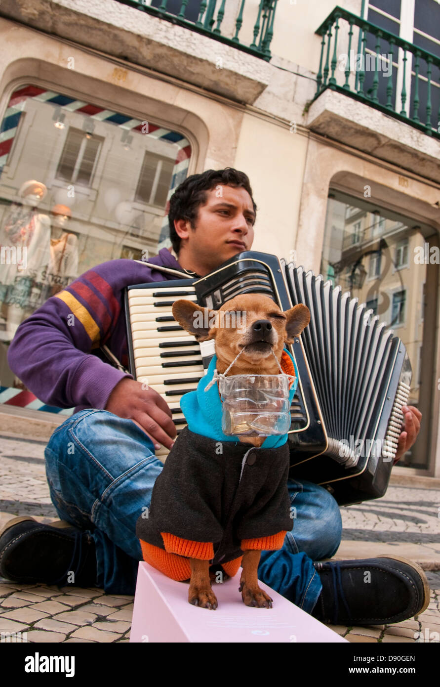 Lisbon street musician with his tip-collector dog. Stock Photo