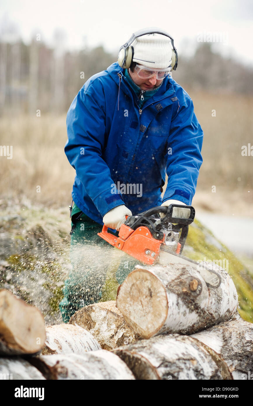 A forest worker cutting up a tree trunk, Sweden Stock Photo - Alamy