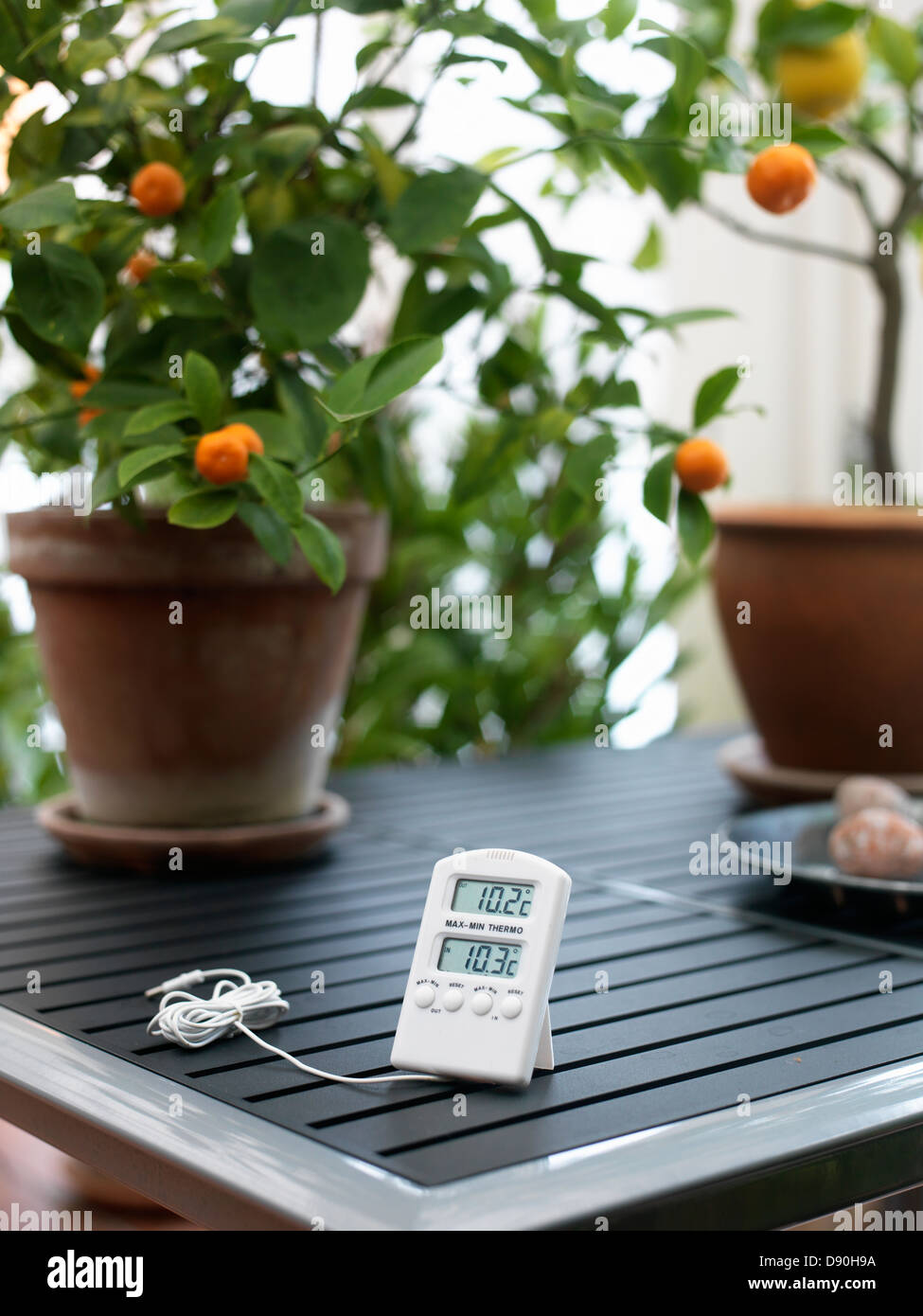 Pot plant with thermometer hi-res stock photography and images - Alamy