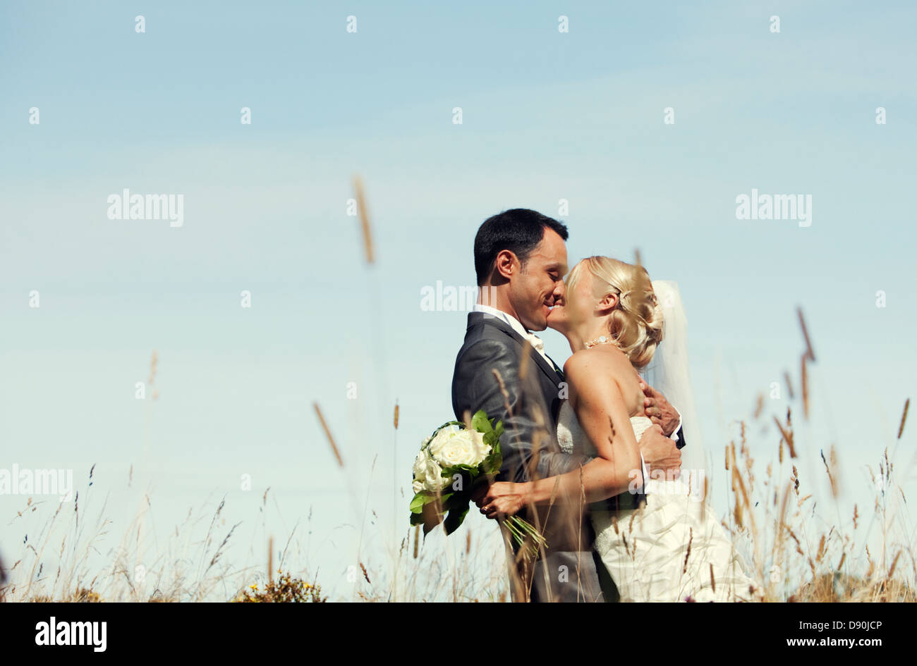 Bride and groom kissing in field Stock Photo