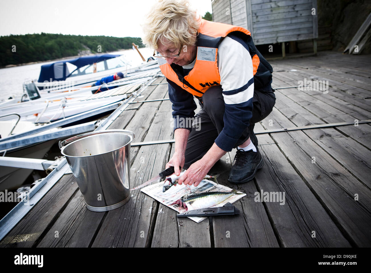 Senior man flaying Atlantic mackerel Stock Photo