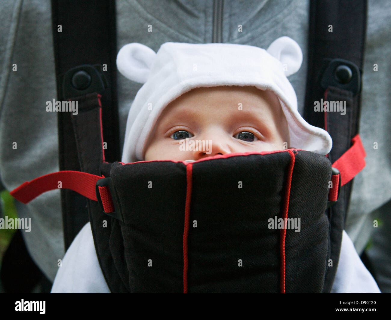 Baby boy in carrier Stock Photo Alamy