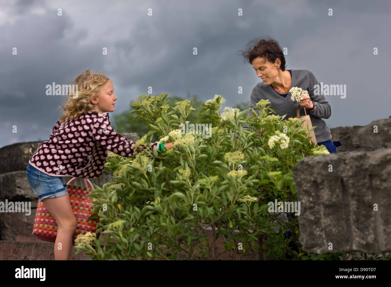 Mother and daughter picking flowers in stormy weather Stock Photo