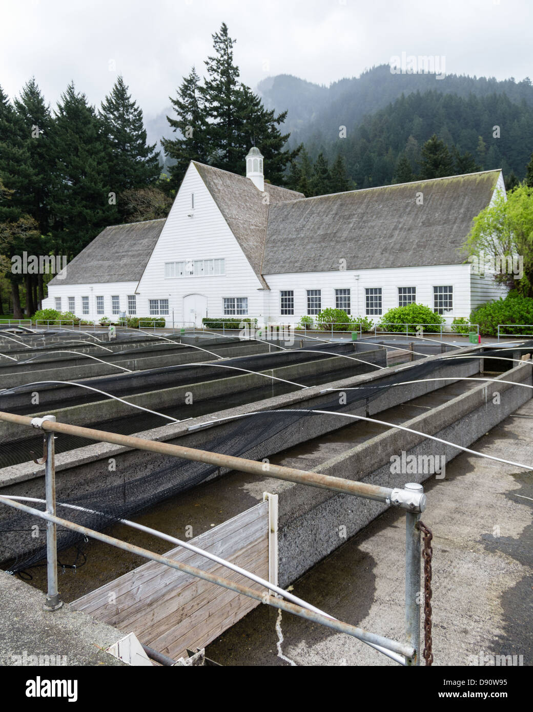 Oregon, Bonneville Fish Hatchery. The egg incubation building with