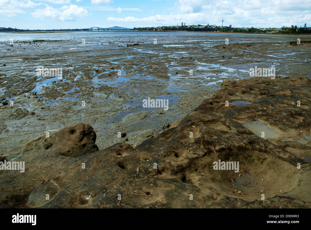 Beach at Kauri Point Centennial Park, Auckland, New Zealand Stock Photo