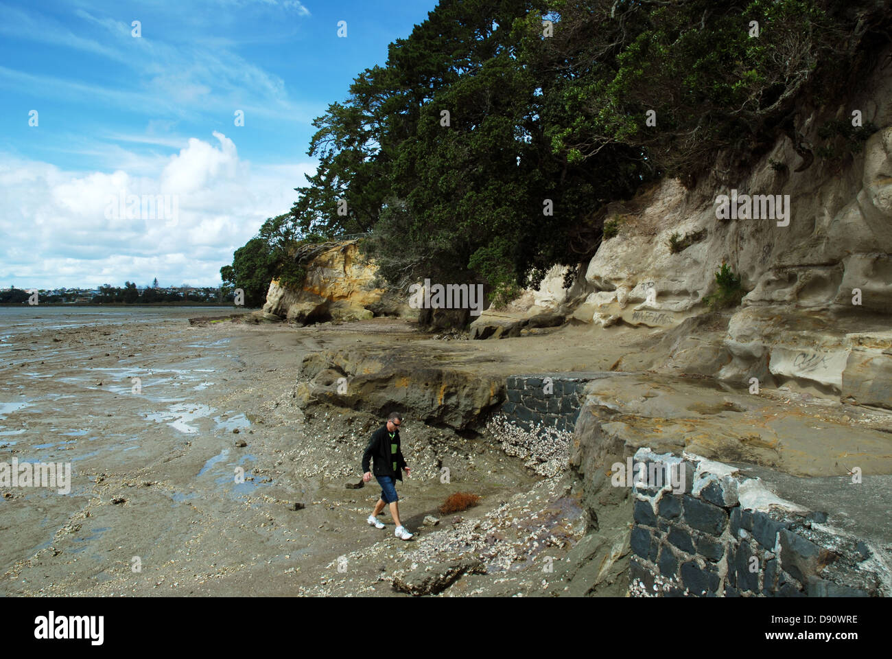 Beach at Kauri Point Centennial Park, Auckland, New Zealand Stock Photo