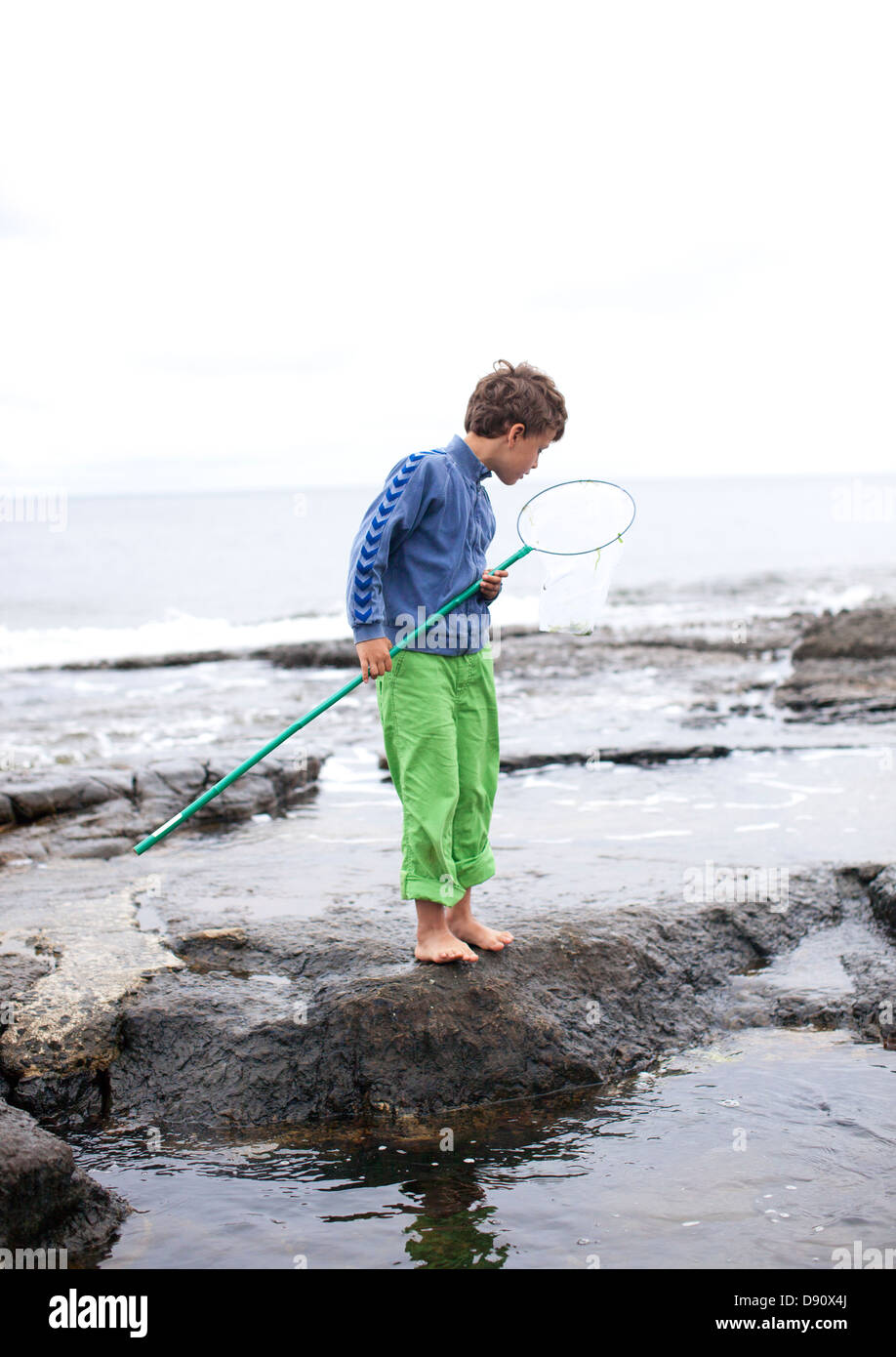 Boy standing on rock by sea holding butterfly net Stock Photo