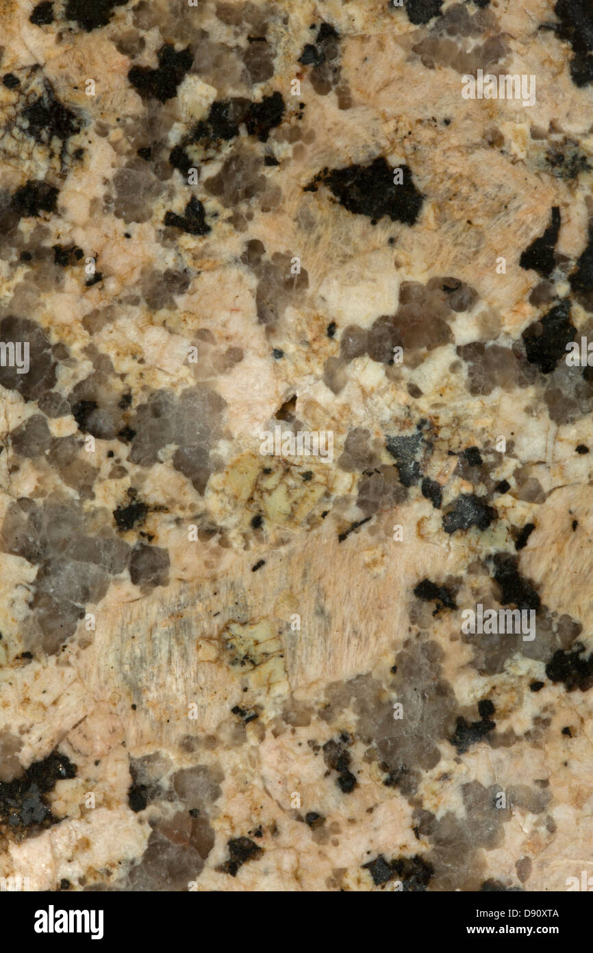 Granite, polished slab Pikes Peak, Batholith, Colorado. Igneous rock. Stock Photo