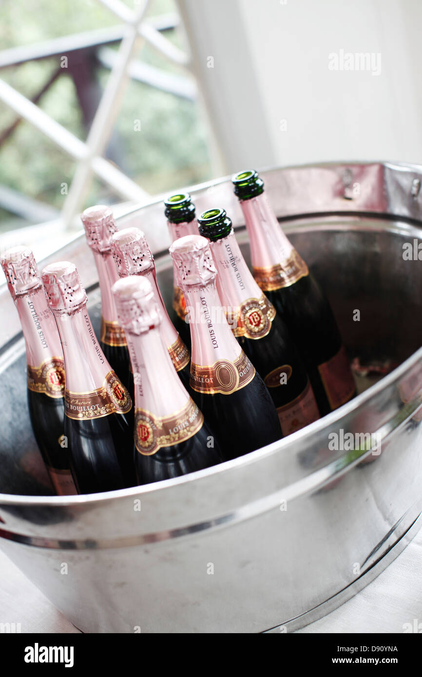 Champagne bottles in ice bucket Stock Photo Alamy