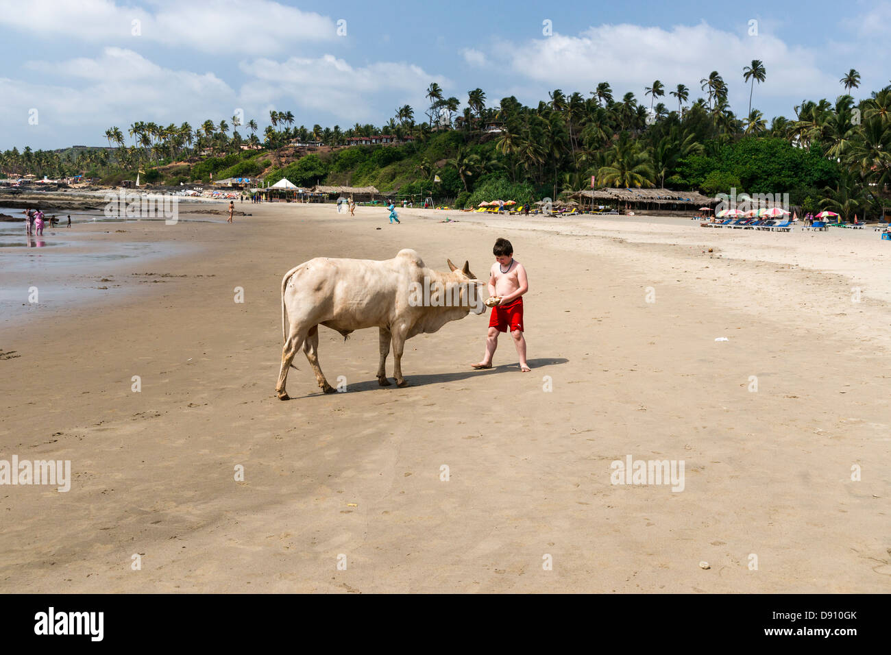 Vagator beach in Goa India. Stock Photo