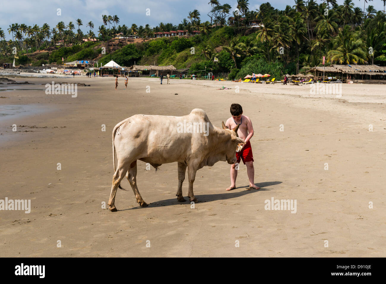 Vagator beach in Goa India. Stock Photo