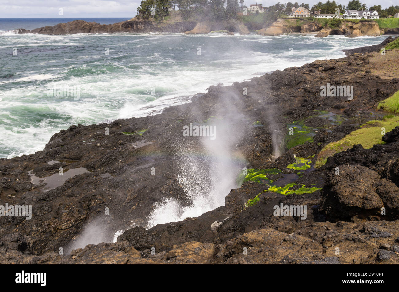 Spouting horns hires stock photography and images Alamy