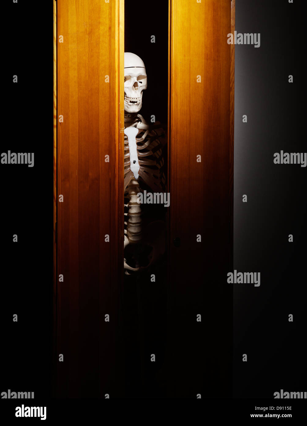 Skeleton in closet, closeup Stock Photo Alamy