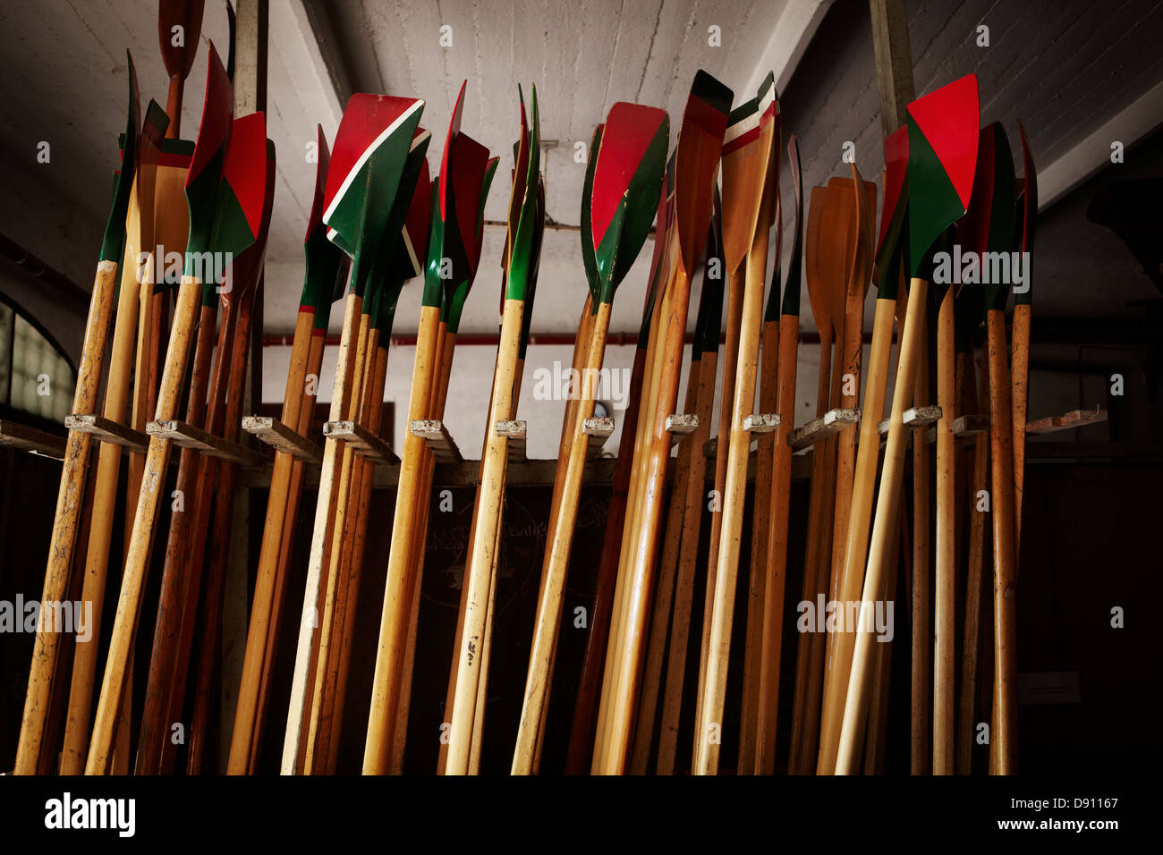 Bunch of oars, indoors Stock Photo