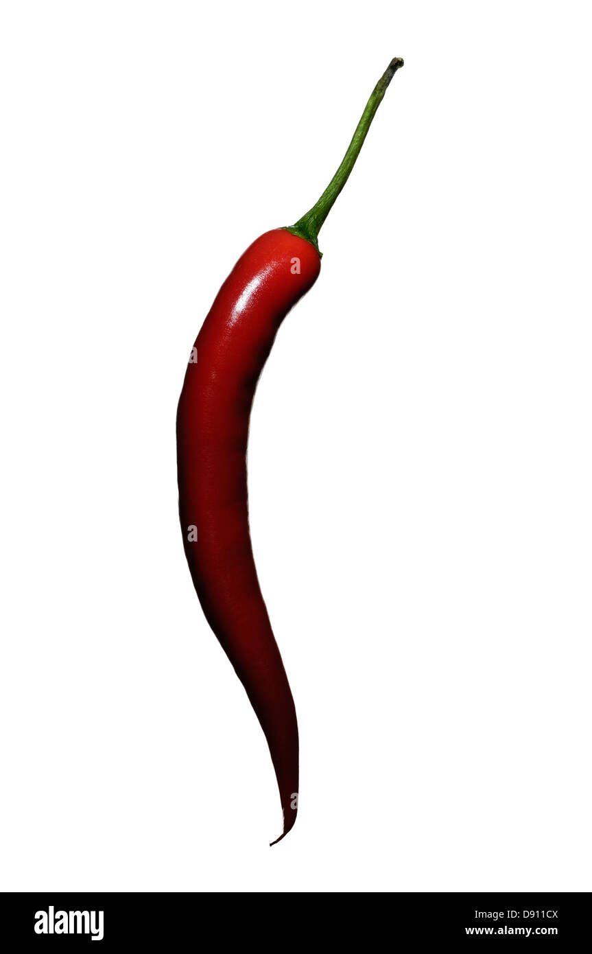 Chilli fruit. Stock Photo