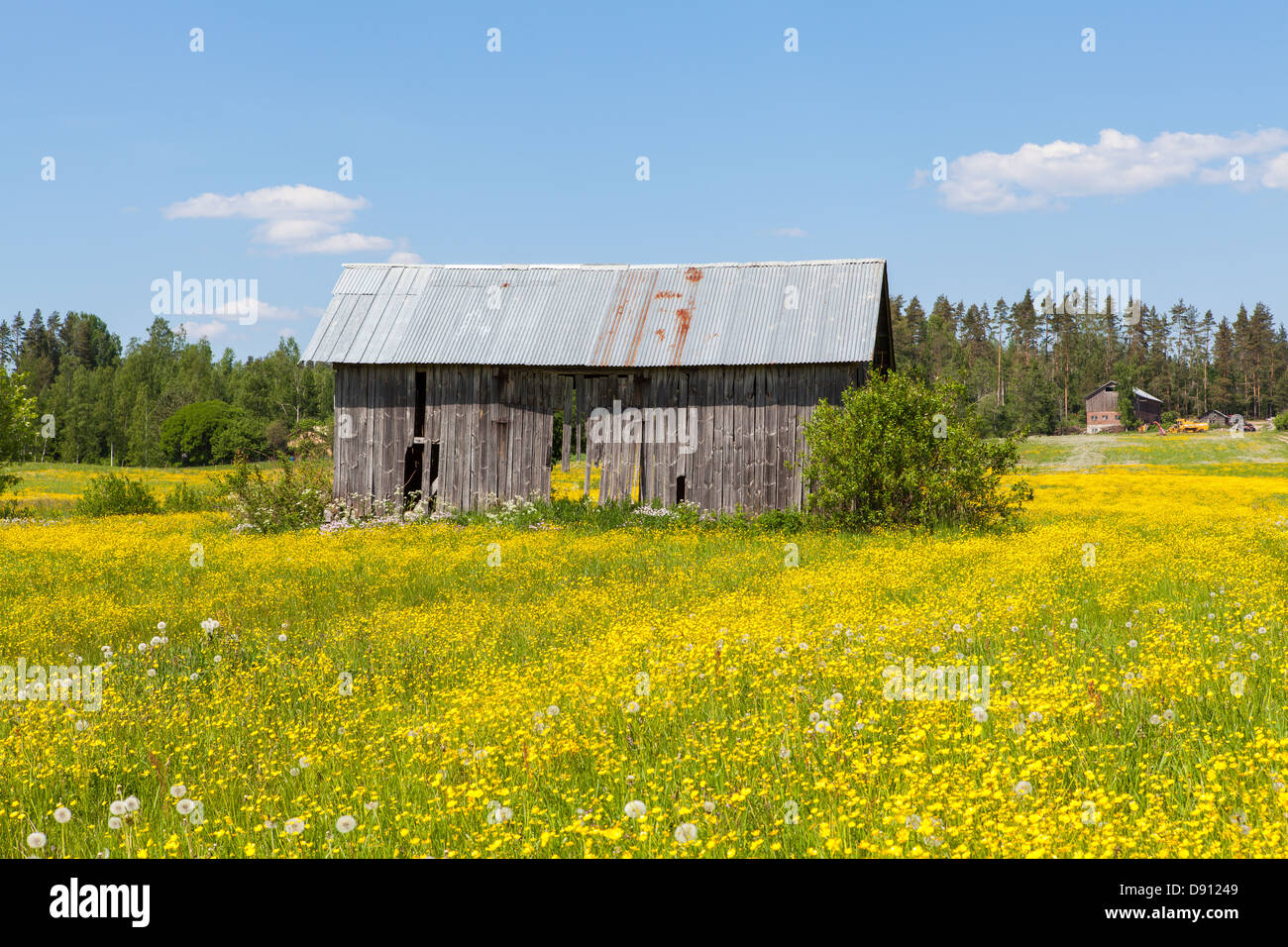 Beautiful summer day in Finland Stock Photo
